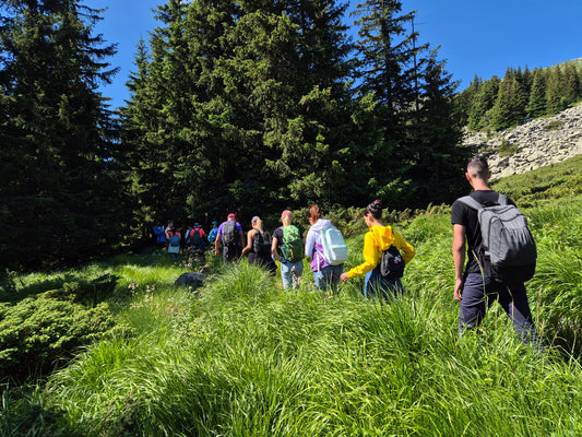 Vitosha Botanical Tour - Flora, Herbs & Mountain Walk