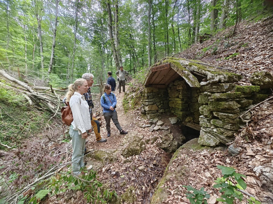 Europe's Unique Rainforest - Strandzha, Bulgaria