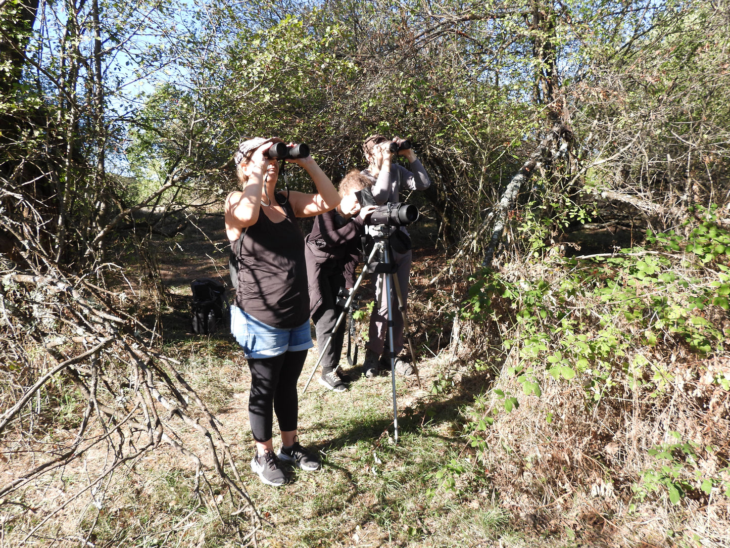 Vulture Spectacle: Wild Bird Safari - Montana, Bulgaria