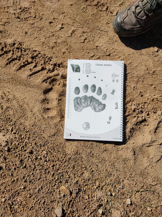 Wildlife Tracking: From Clues to Conservation - Vitosha Mountain, Bulgaria