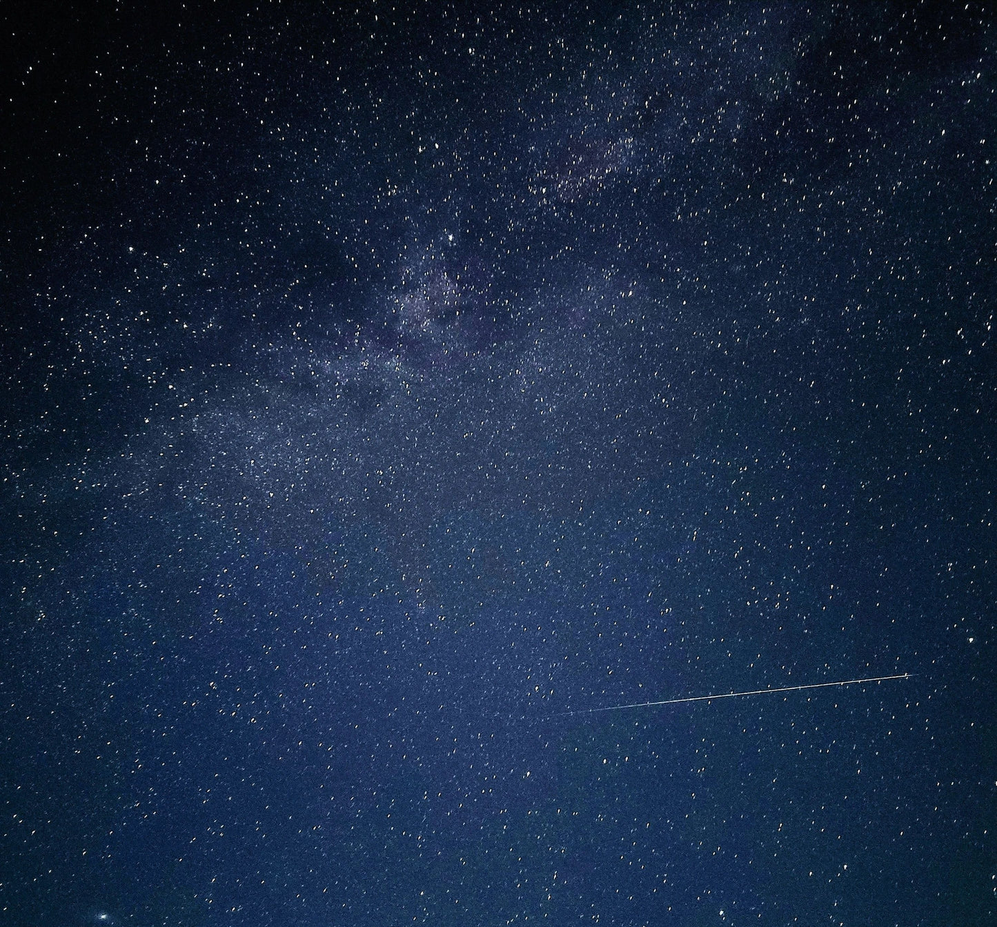 Perseids Meteor Shower & Night Wildlife Expedition