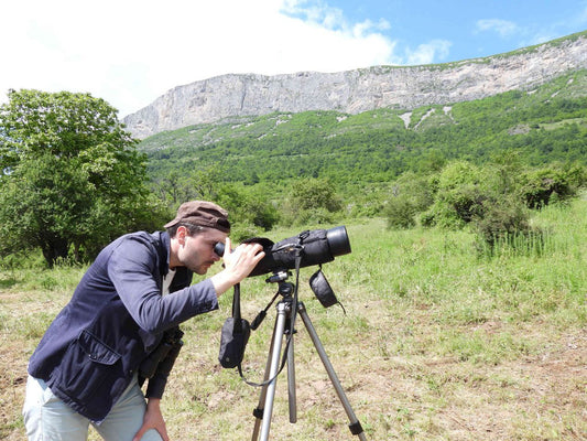 Vulture Spectacle: Wild Bird Safari - Montana, Bulgaria