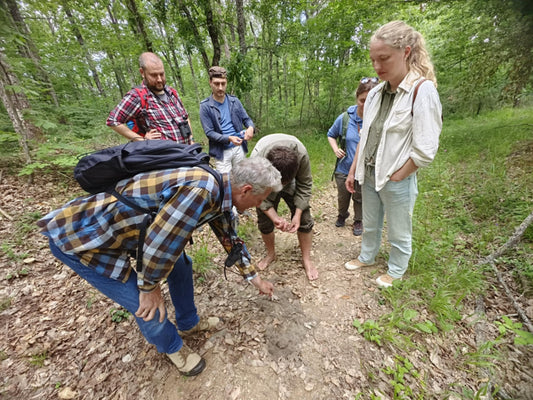 Strandzha Wilderness Immersion: Tracks, Trees & Treasures
