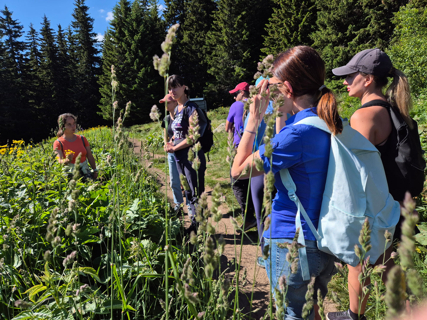 Evening Botanical Walk in the Park - Sofia's Urban Flora