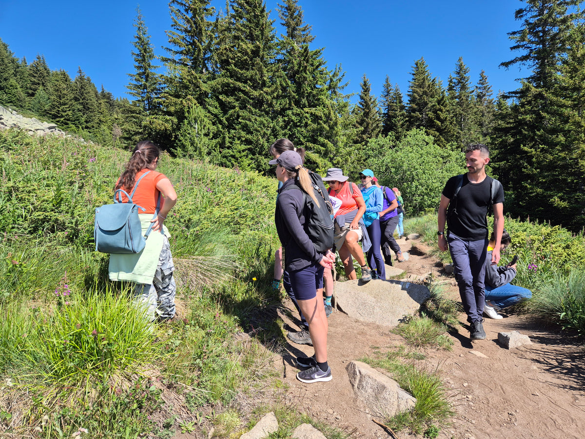 Vitosha Botanical Tour - Flora, Herbs & Mountain Walk