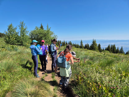 Vitosha Botanical Tour - Flora, Herbs & Mountain Walk