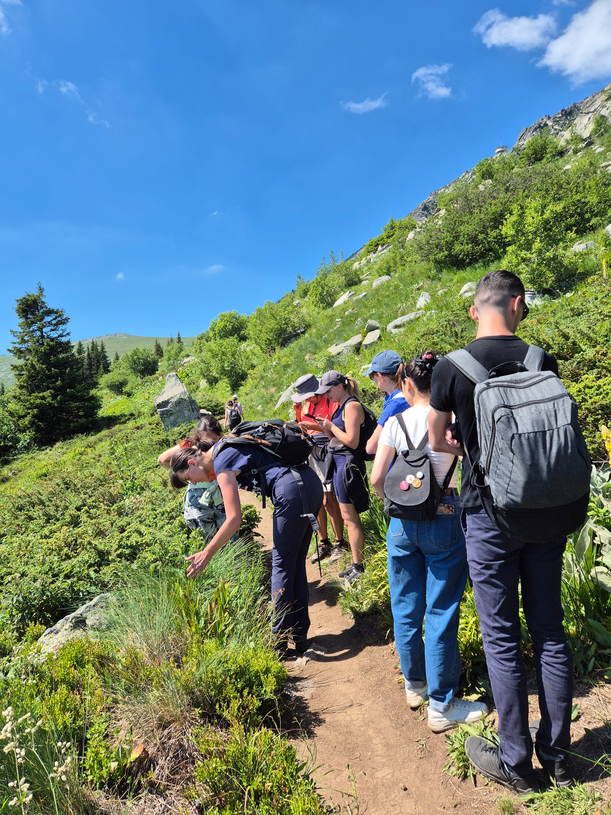 Vitosha Botanical Tour - Flora, Herbs & Mountain Walk