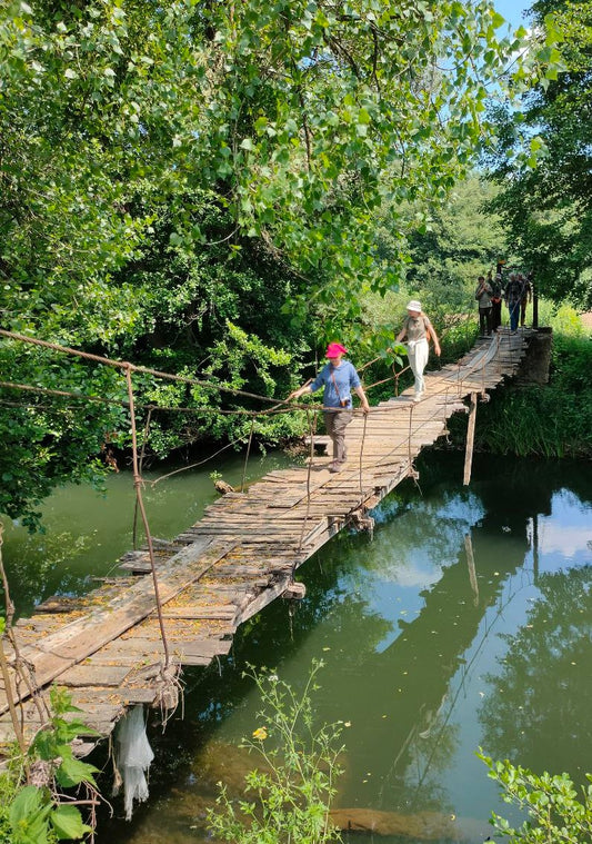 Europe's Unique Rainforest - Strandzha, Bulgaria