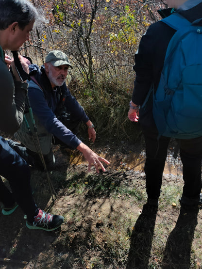 Wildlife Tracking: From Clues to Conservation - Vitosha Mountain, Bulgaria