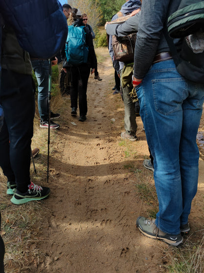 Wildlife Tracking: From Clues to Conservation - Vitosha Mountain, Bulgaria