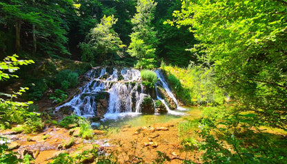 Strandzha Rhododendron Weekend - 23, 24, 25 May (choose your walk day)