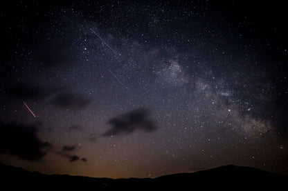 Perseids Meteor Shower & Night Wildlife Expedition
