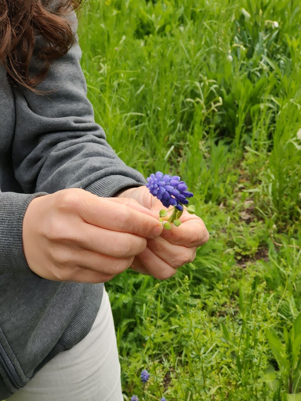 Evening Botanical Walk in the Park - Sofia's Urban Flora