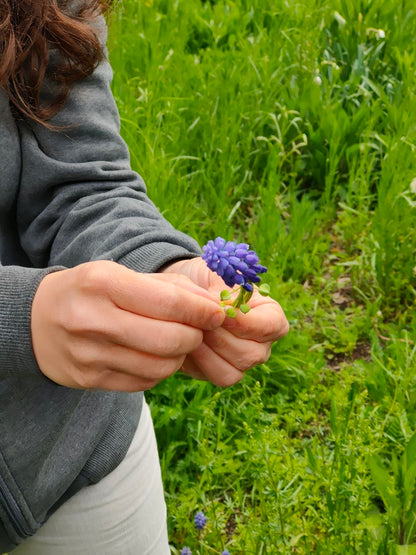 Evening Botanical Walk in the Park - Sofia's Urban Flora