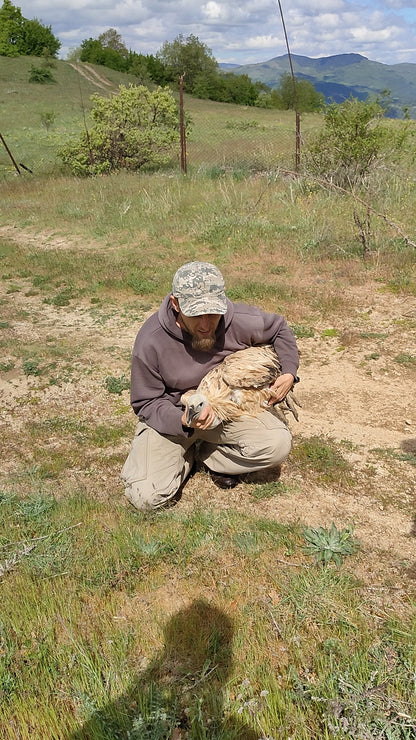 Vulture Observation & Conservation Experience