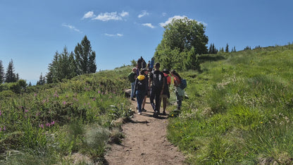Vitosha Botanical Tour - Flora, Herbs & Mountain Walk